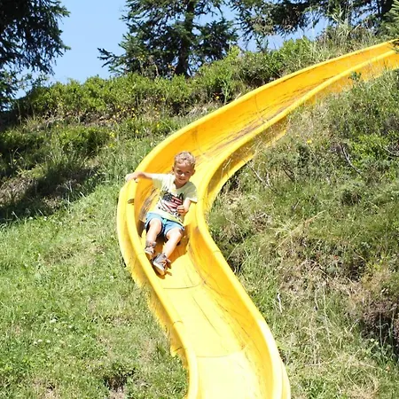 Alpin & * 滨湖采尔